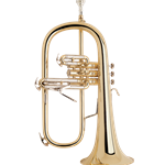 Bach 183 Flugel Horn