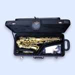 Yanagisawa AW010 Alto Saxophone - Gold Lacquer