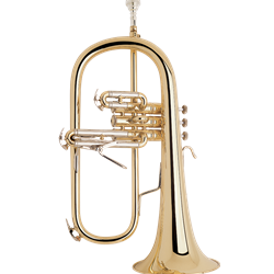 Bach 183 Flugel Horn