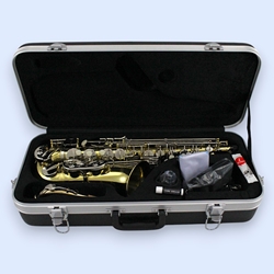 Selmer SAS301 Alto Saxophone